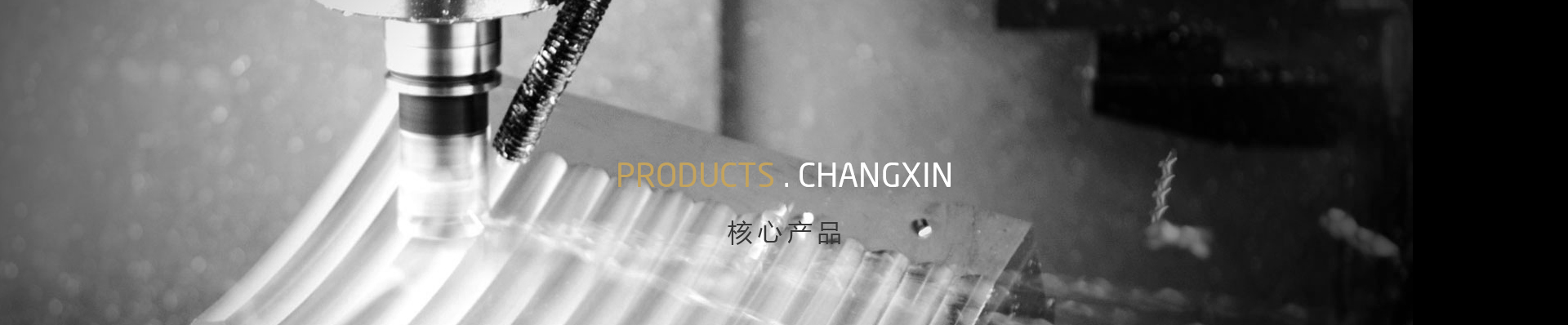 banner banner
